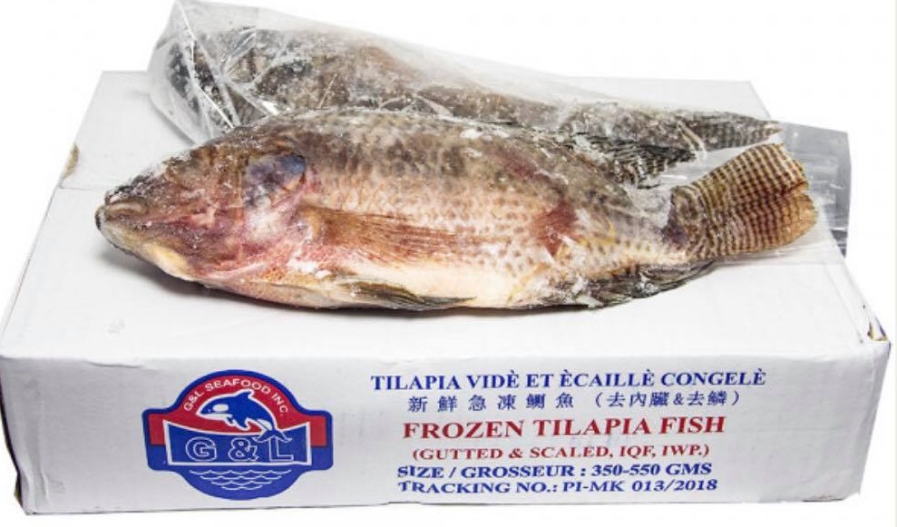 ALW TILAPIA 10Kg