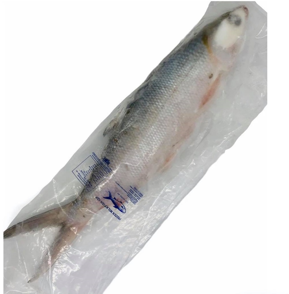 ALW MILK FISH BANGUS 10Kg